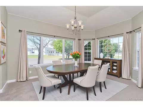 29852 E 163rd Pl, Brighton, CO 80603 photo 10