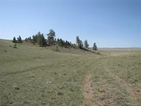792 Kinkehee Trl, Hartsel, CO 80449
