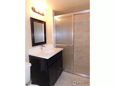 4575 Cathay Ct, Denver, CO 80249 photo 27