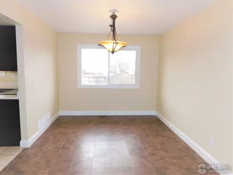 4575 Cathay Ct, Denver, CO 80249 photo 7