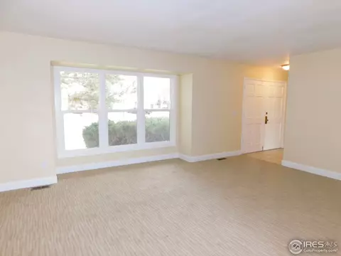 4575 Cathay Ct, Denver, CO 80249 photo 6