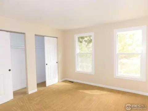 4575 Cathay Ct, Denver, CO 80249 photo 20
