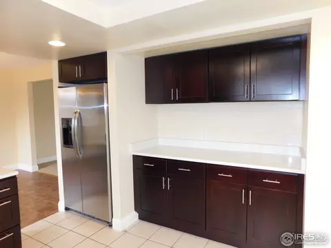 4575 Cathay Ct, Denver, CO 80249 photo 10