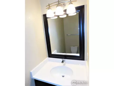 4575 Cathay Ct, Denver, CO 80249 photo 13