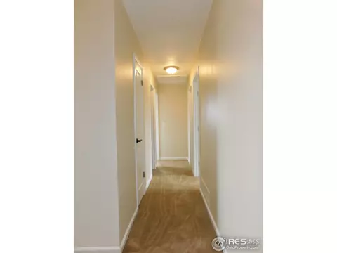 4575 Cathay Ct, Denver, CO 80249 photo 16