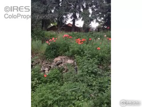 37296 Boulder Canyon Dr, Boulder, CO 80302 photo 19