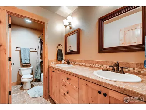 1925 Elba Ct, Windsor, CO 80550 photo 20