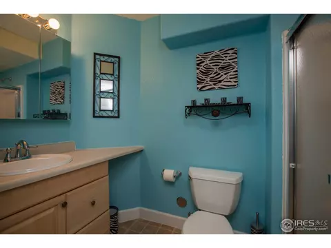 11429 Deerfield Dr, Firestone, CO 80504 photo 15