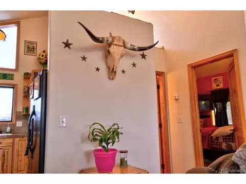 941 Ute Trl, Como, CO 80432 photo 16