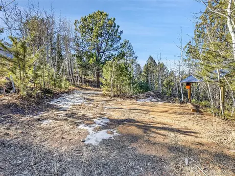 Exterior - 10 Bartimous Rd, Bailey, CO 80421 photo 5 of 6