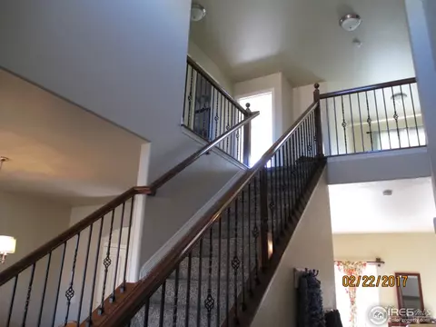 5876 Merganser Ct, Frederick, CO 80504 photo 9