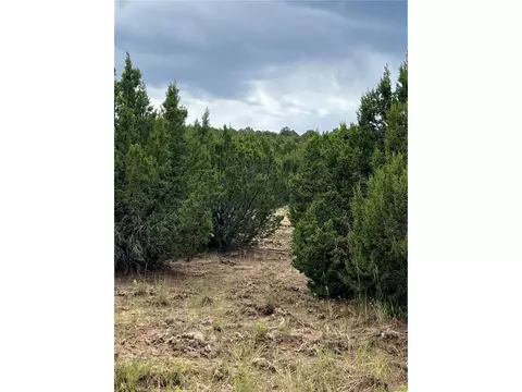 Sunrise Rd, Walsenburg, CO 81089