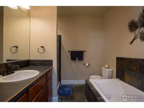1119 Fairfield Ave, Windsor, CO 80550 photo 14