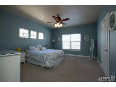 1119 Fairfield Ave, Windsor, CO 80550 photo 12