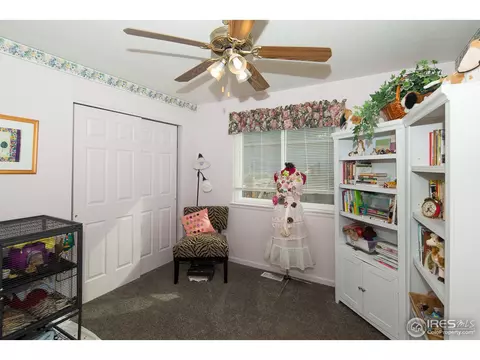 302 Charles Ave, Severance, CO 80546 photo 11