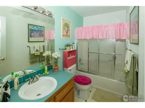 302 Charles Ave, Severance, CO 80546 photo 9