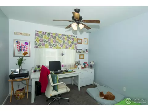 302 Charles Ave, Severance, CO 80546 photo 12