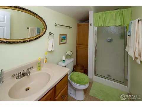 302 Charles Ave, Severance, CO 80546 photo 15