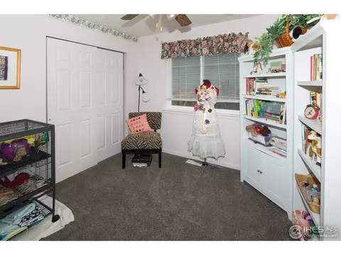 302 Charles Ave, Severance, CO 80546 photo 10