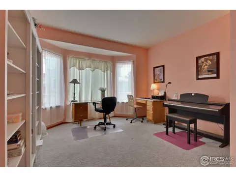 496 E 134th Ave, Thornton, CO 80241 photo 18