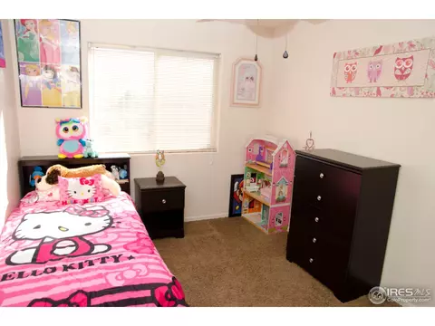 3001 Armadillo Ct, Evans, CO 80620 photo 13