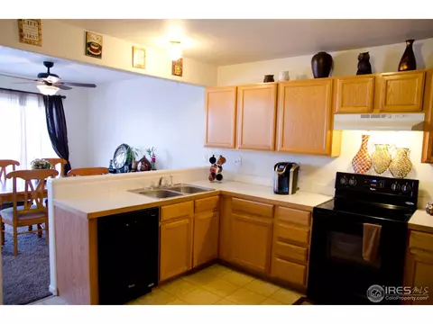 3001 Armadillo Ct, Evans, CO 80620 photo 9