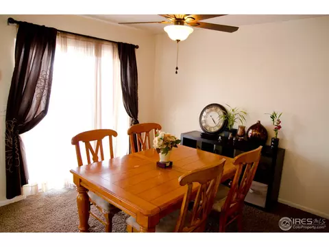 3001 Armadillo Ct, Evans, CO 80620 photo 7