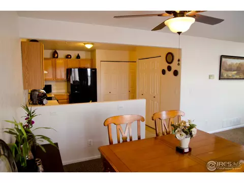 3001 Armadillo Ct, Evans, CO 80620 photo 5