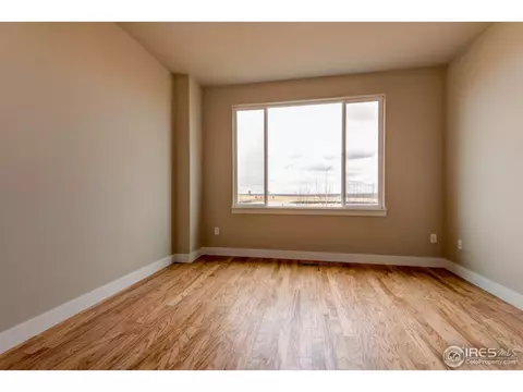 873 Corn Stalk Dr, Windsor, CO 80550 photo 8