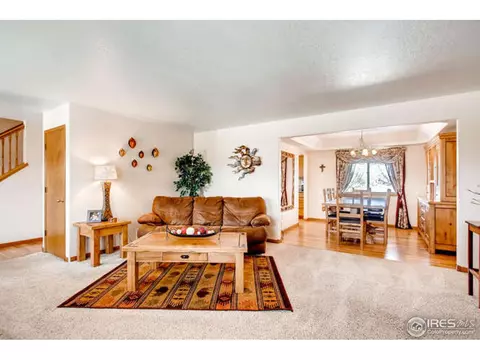 300 Common Dr, Berthoud, CO 80513 photo 5