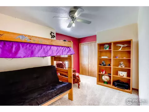 300 Common Dr, Berthoud, CO 80513 photo 21