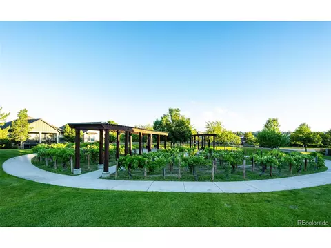 2045 Vineyard Dr, Windsor, CO 80550 photo 34