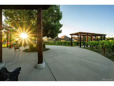 2045 Vineyard Dr, Windsor, CO 80550 photo 35