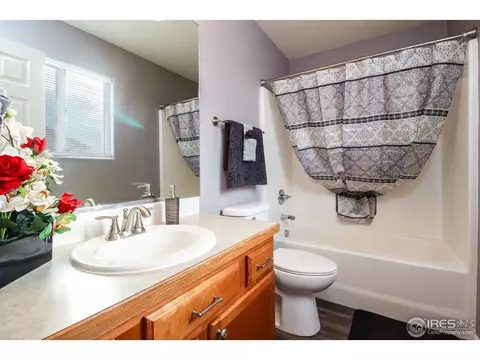 2833 39th Ave, Greeley, CO 80634 photo 18