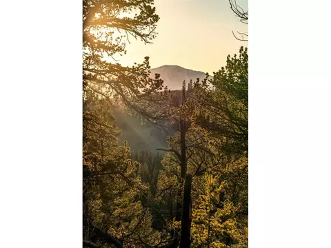 Other - 491 Shoshone Dr, Como, CO 80432 photo 10 of 12