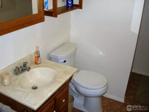 604 Chestnut St, Windsor, CO 80550 photo 12