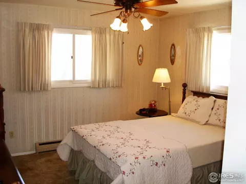 604 Chestnut St, Windsor, CO 80550 photo 9