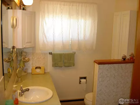 604 Chestnut St, Windsor, CO 80550 photo 10