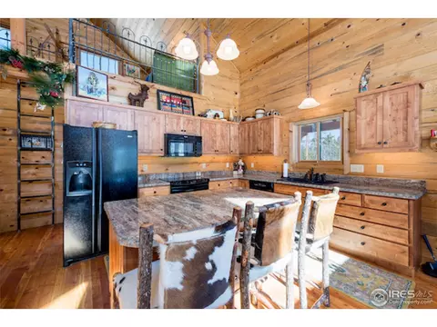 241 Tierney Pl, Rand, CO 80473 photo 10