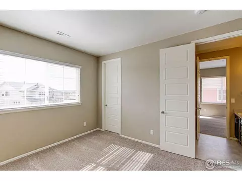 6014 Moran Rd, Timnath, CO 80547 photo 18
