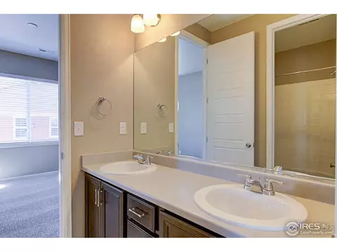 6014 Moran Rd, Timnath, CO 80547 photo 21