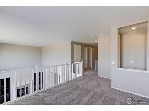 6014 Moran Rd, Timnath, CO 80547 photo 14
