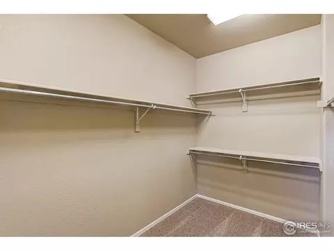 6014 Moran Rd, Timnath, CO 80547 photo 19
