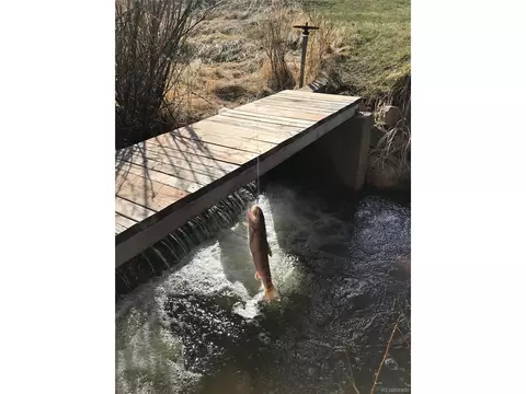 7962 Gray Fox Dr, Evergreen, CO 80439 photo 25