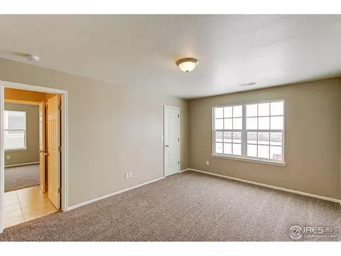 6141 Moran Rd, Timnath, CO 80547 photo 29