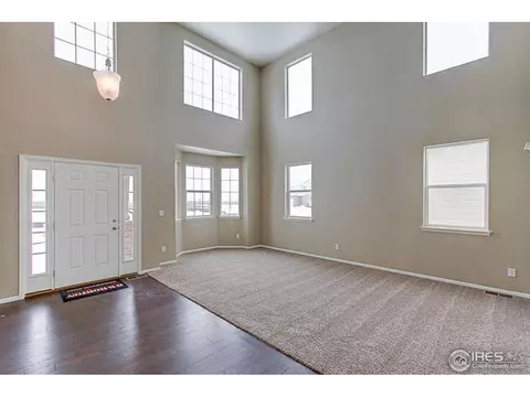 6141 Moran Rd, Timnath, CO 80547 photo 7