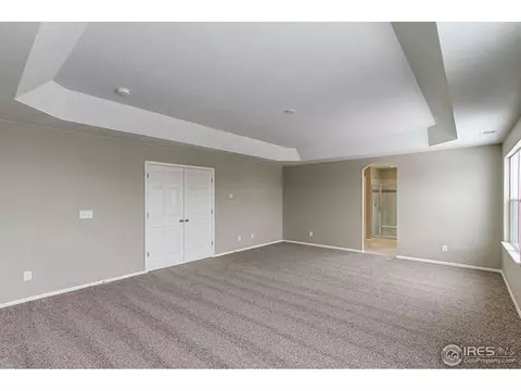 6141 Moran Rd, Timnath, CO 80547 photo 20