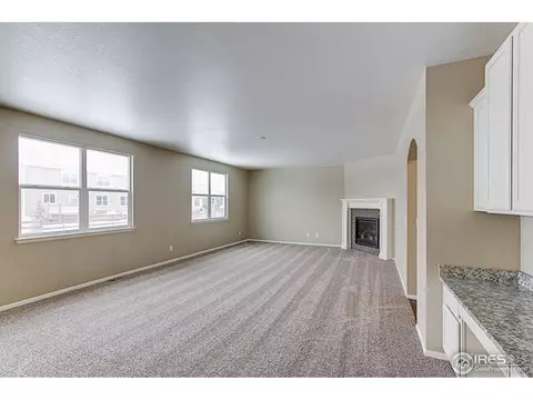 6141 Moran Rd, Timnath, CO 80547 photo 10