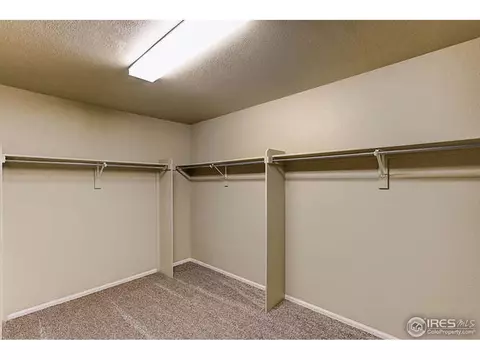 6141 Moran Rd, Timnath, CO 80547 photo 22