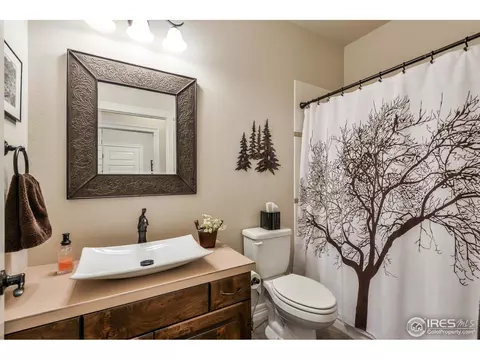 8560 Allenbrook Dr, Windsor, CO 80550 photo 24